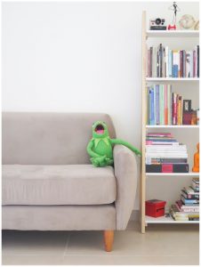 Kermit the Frog, organizing your story